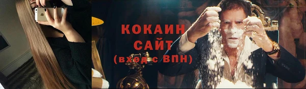 ПСИЛОЦИБИНОВЫЕ ГРИБЫ Заводоуковск