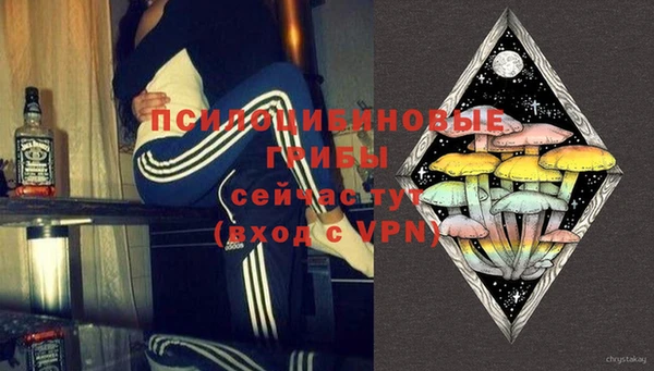 ПСИЛОЦИБИНОВЫЕ ГРИБЫ Заводоуковск