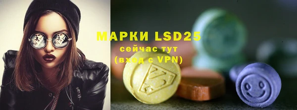ПСИЛОЦИБИНОВЫЕ ГРИБЫ Заводоуковск