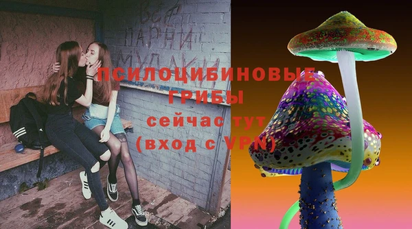 ПСИЛОЦИБИНОВЫЕ ГРИБЫ Заводоуковск