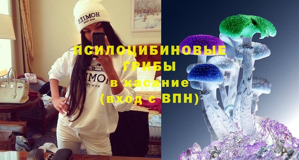 ПСИЛОЦИБИНОВЫЕ ГРИБЫ Заводоуковск