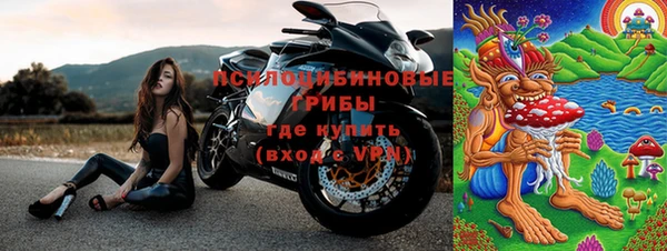 ПСИЛОЦИБИНОВЫЕ ГРИБЫ Заводоуковск